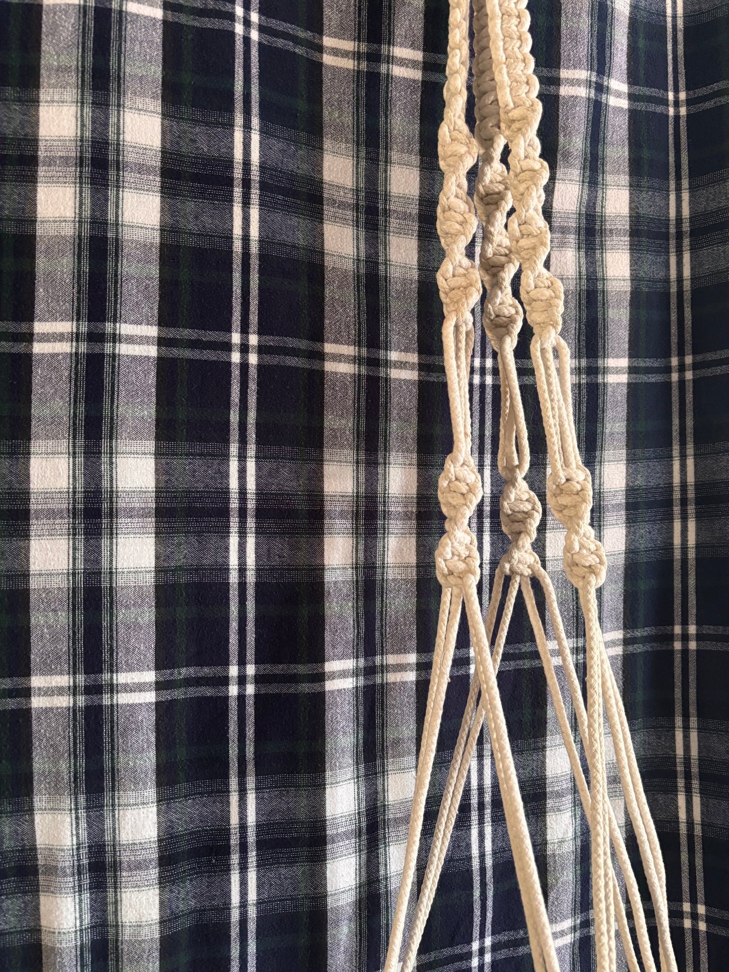 garden : macrame plant hangers